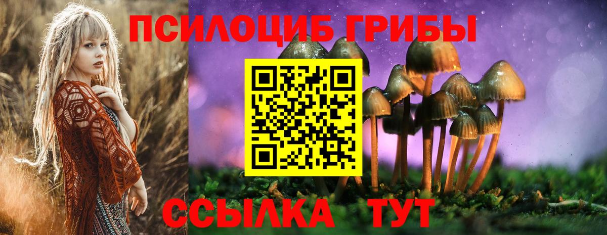Псилоцибиновые грибы GOLDEN TEACHER  Вход с VPN  Чебоксары 